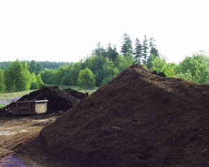 Torfabbau in Tschechien